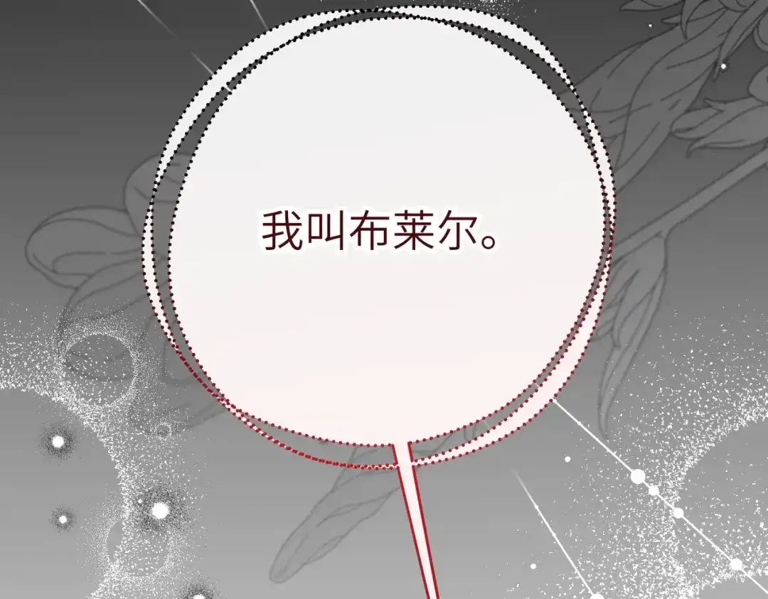 第229页