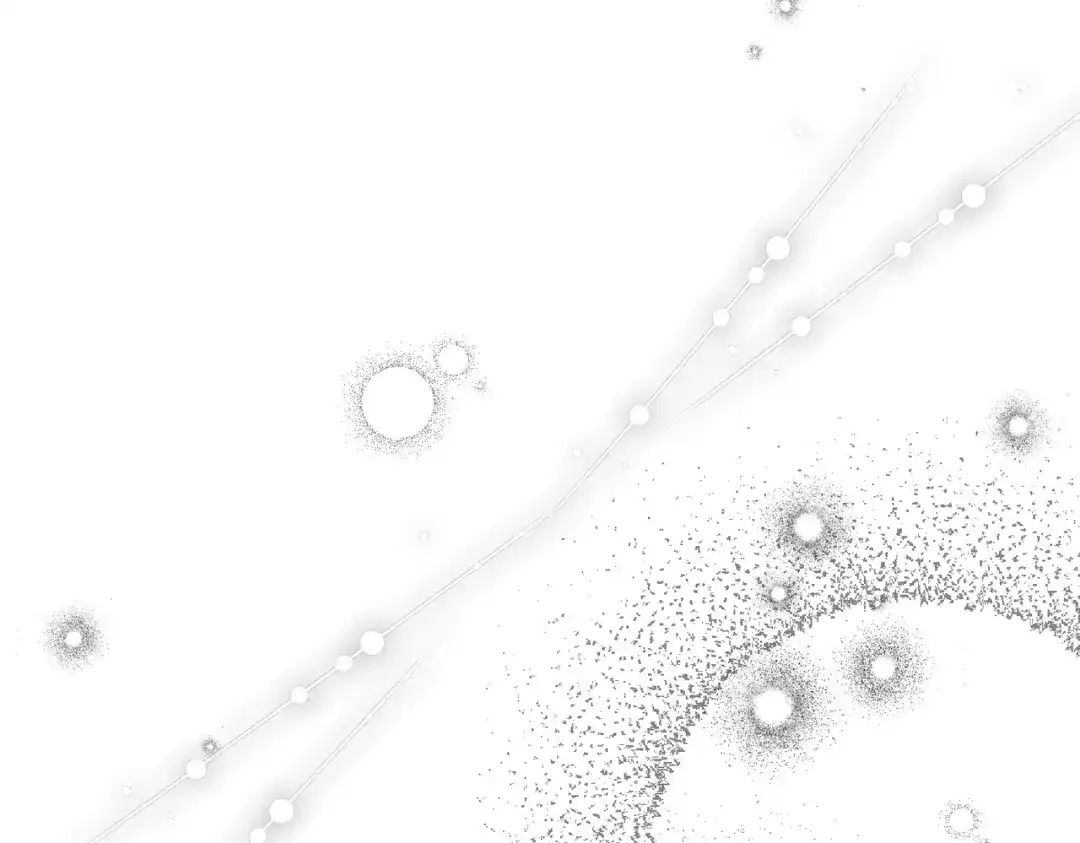 第232页