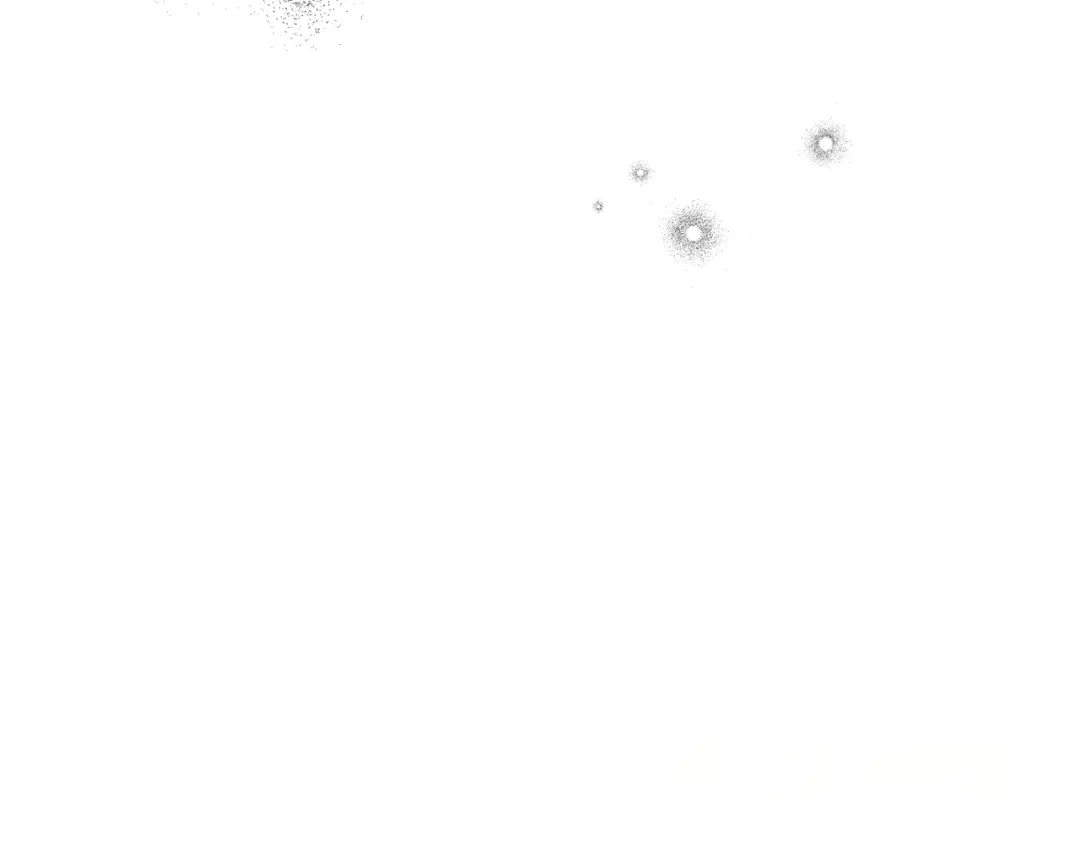 第234页
