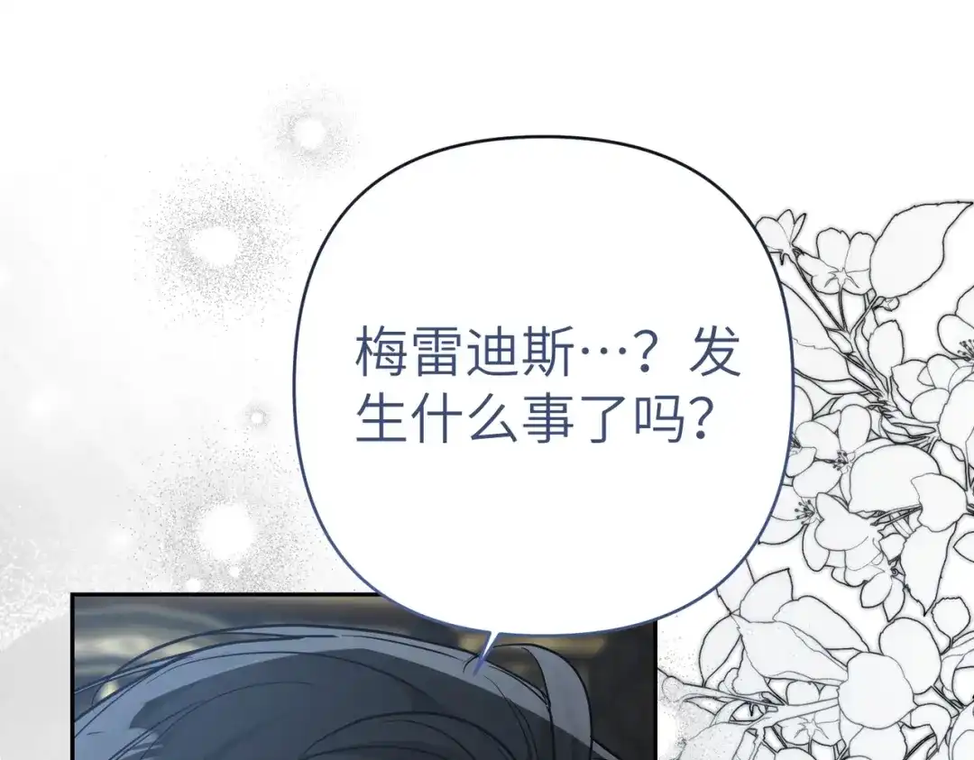 第242页