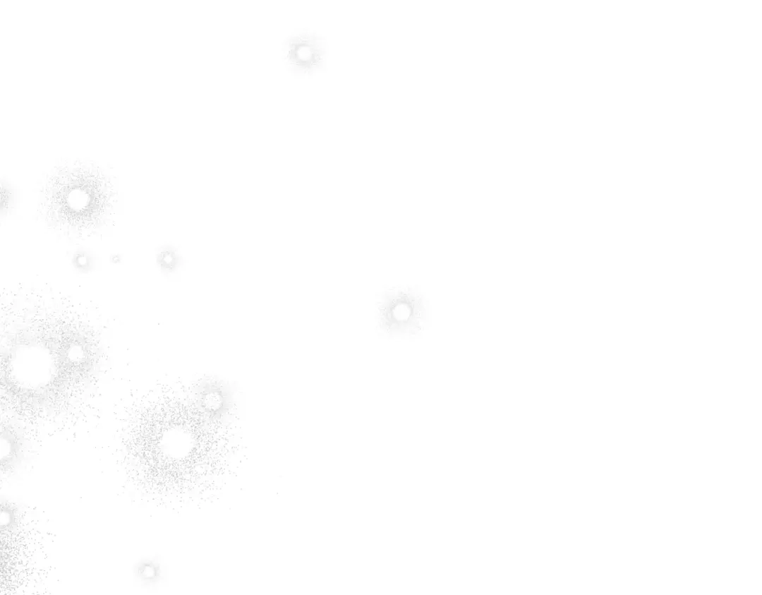 第251页