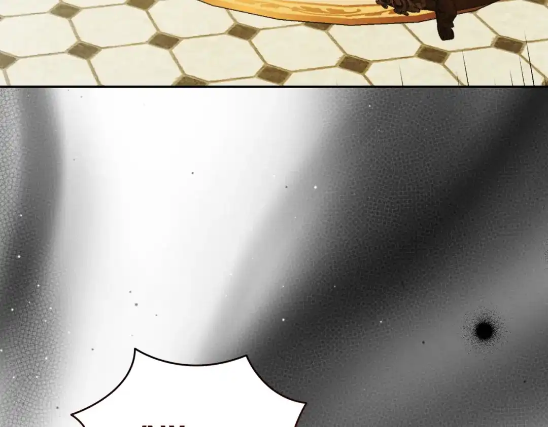 第215页