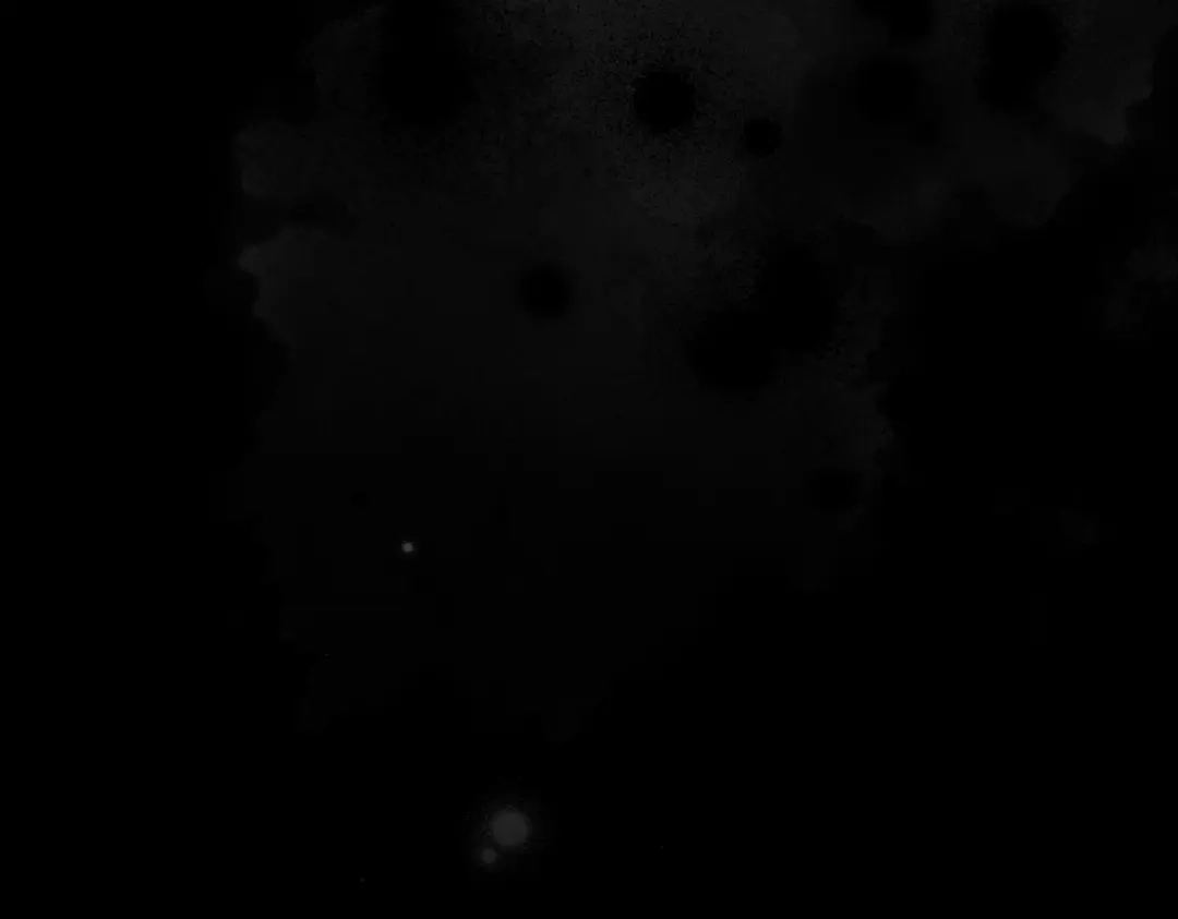 第233页