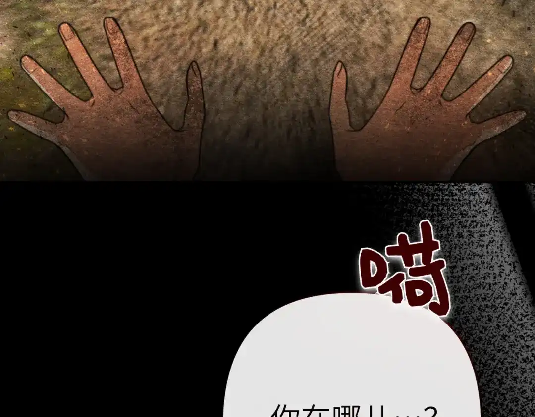 第223页