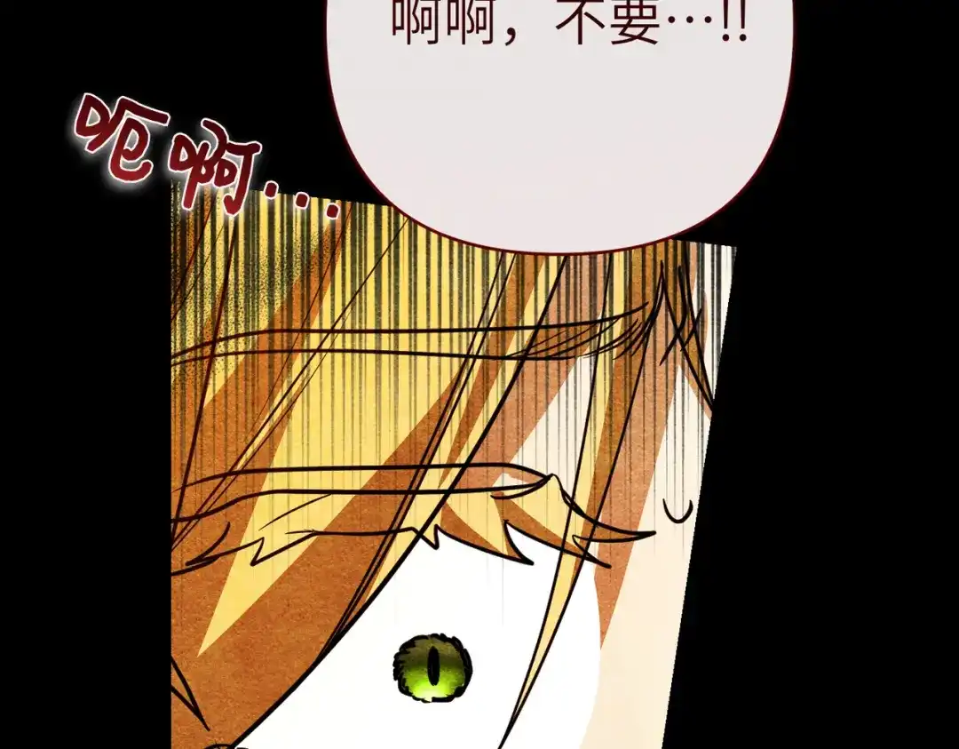 第237页