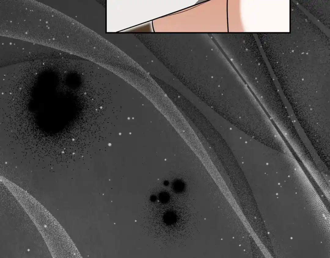 第233页