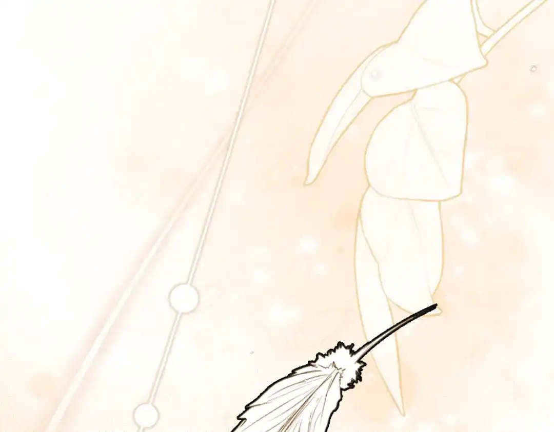 第215页