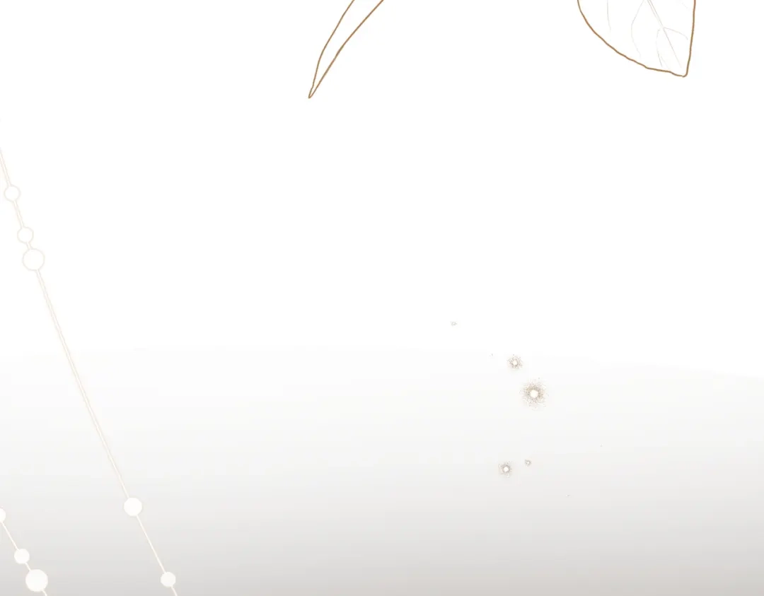 第219页