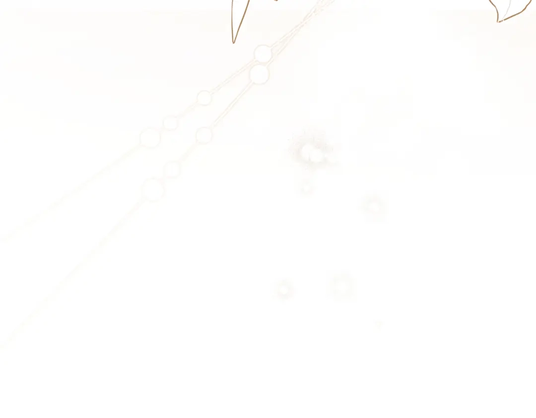 第224页