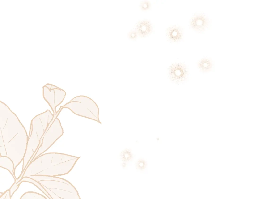 第205页
