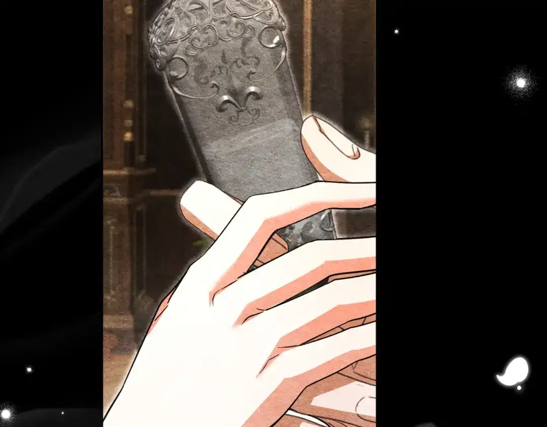 第219页