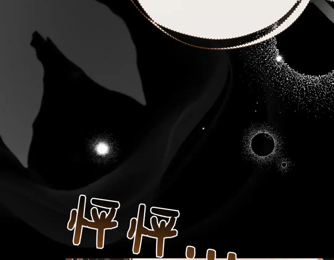 第224页