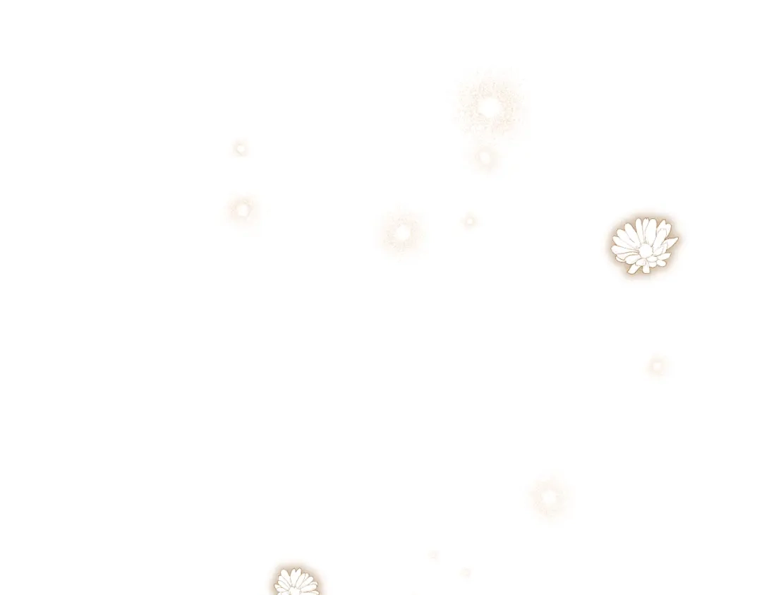 第242页