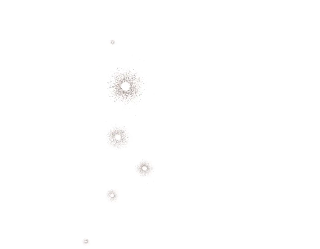 第225页