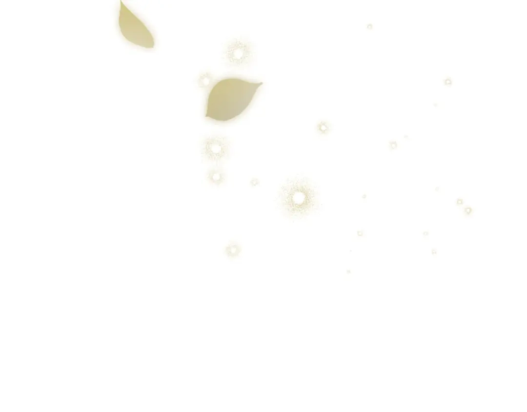 第277页
