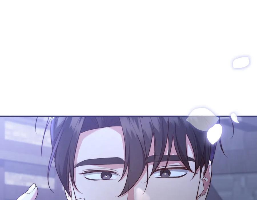 第255页
