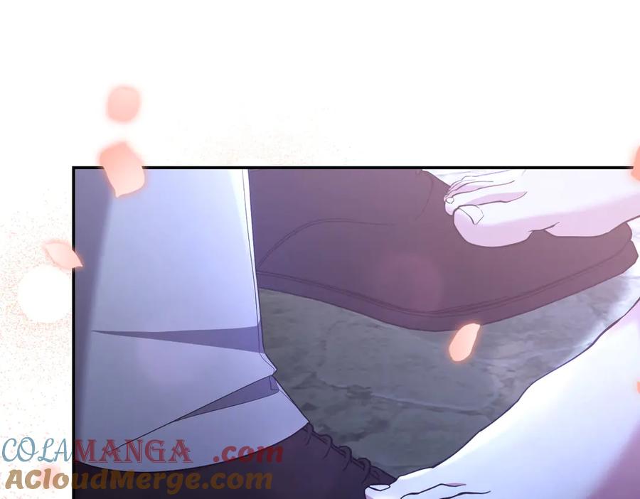 第233页