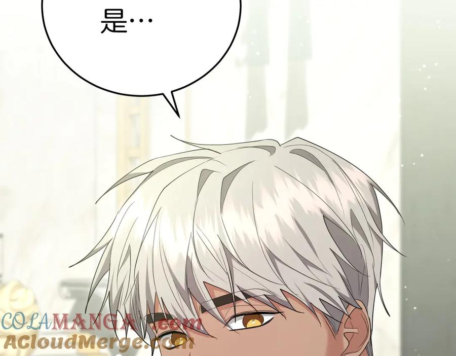 第229页