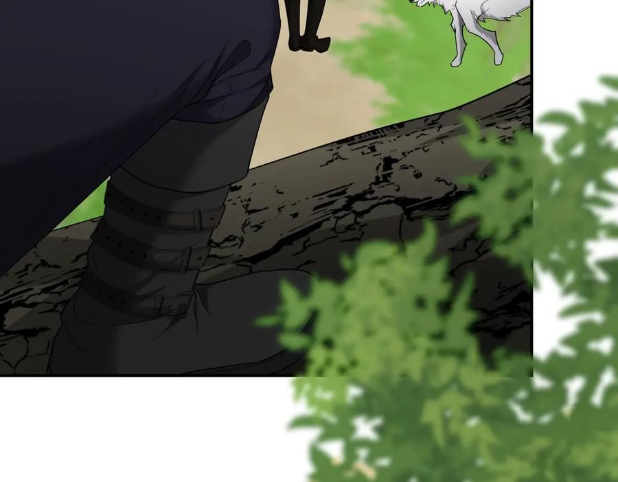 第214页