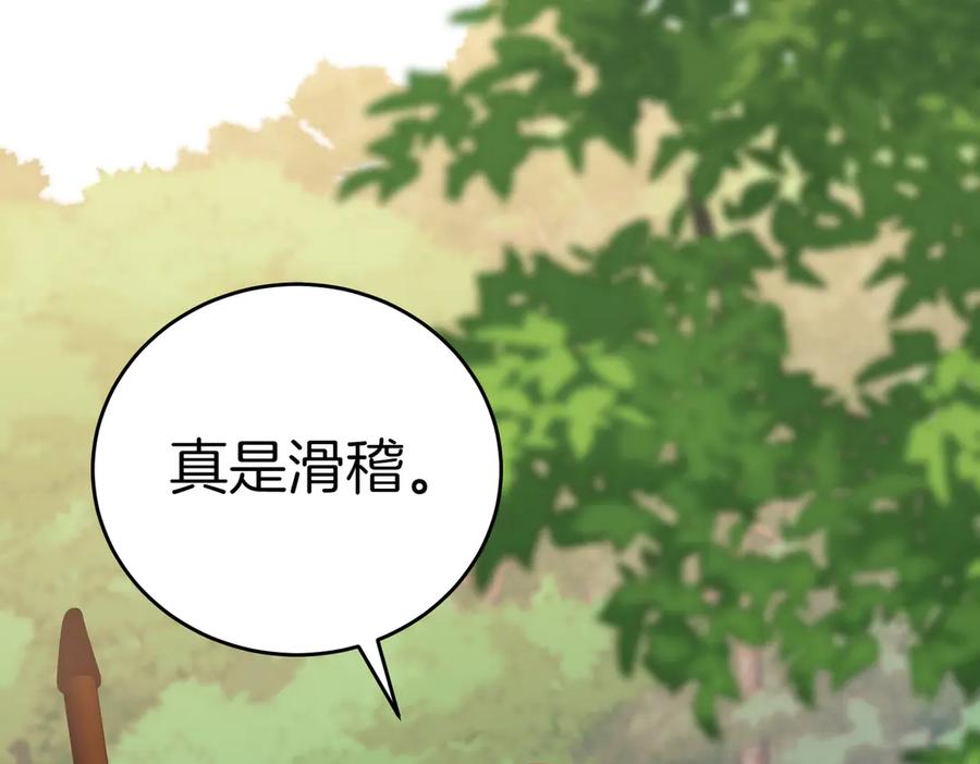 第215页