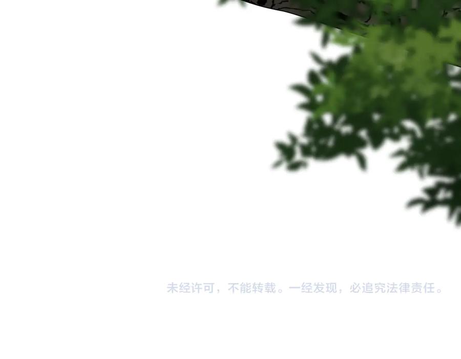 第219页
