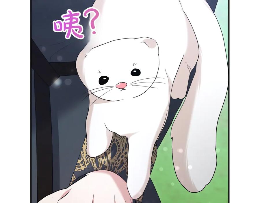 第234页