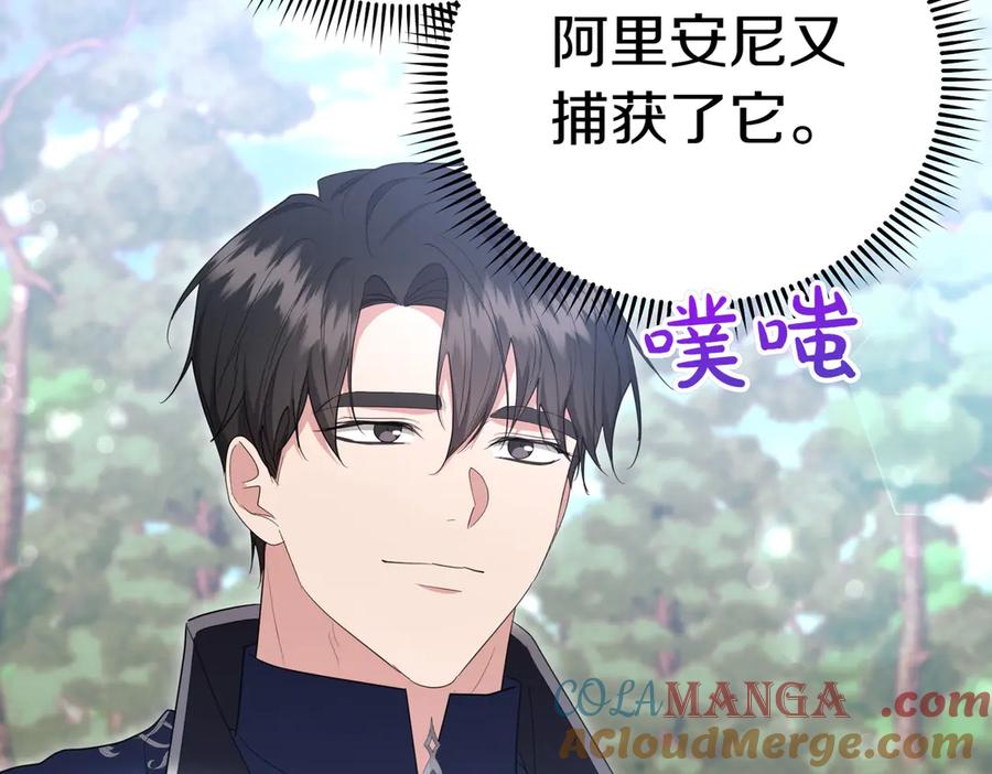 第241页