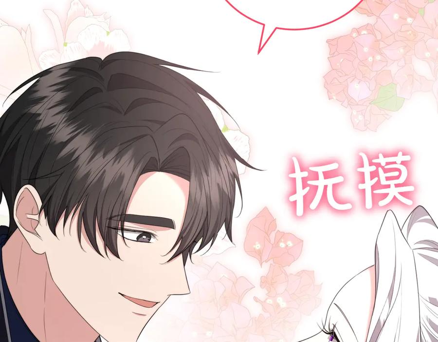 第244页
