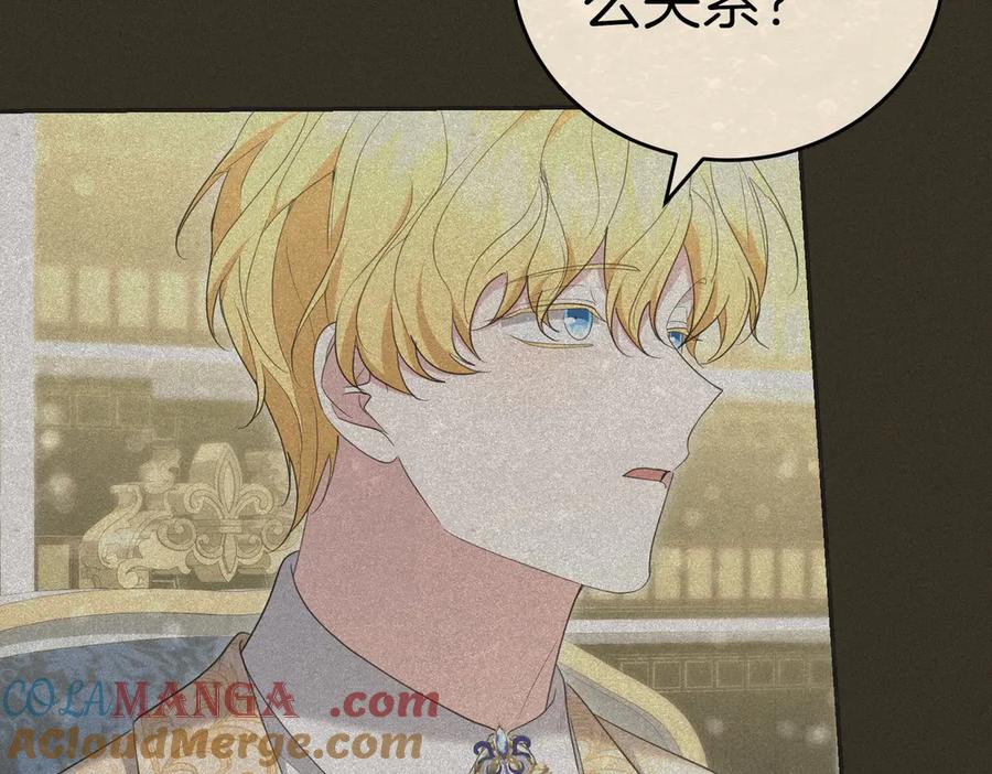 第229页