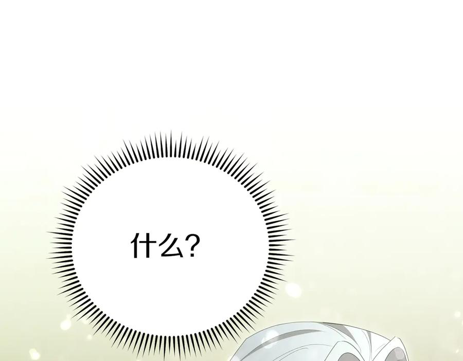 第242页