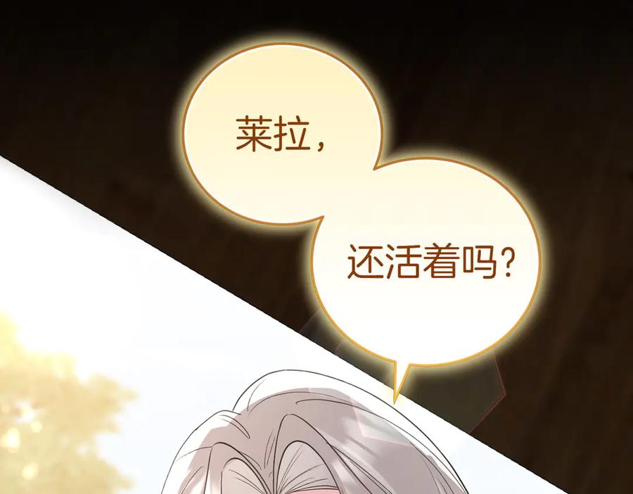 第223页