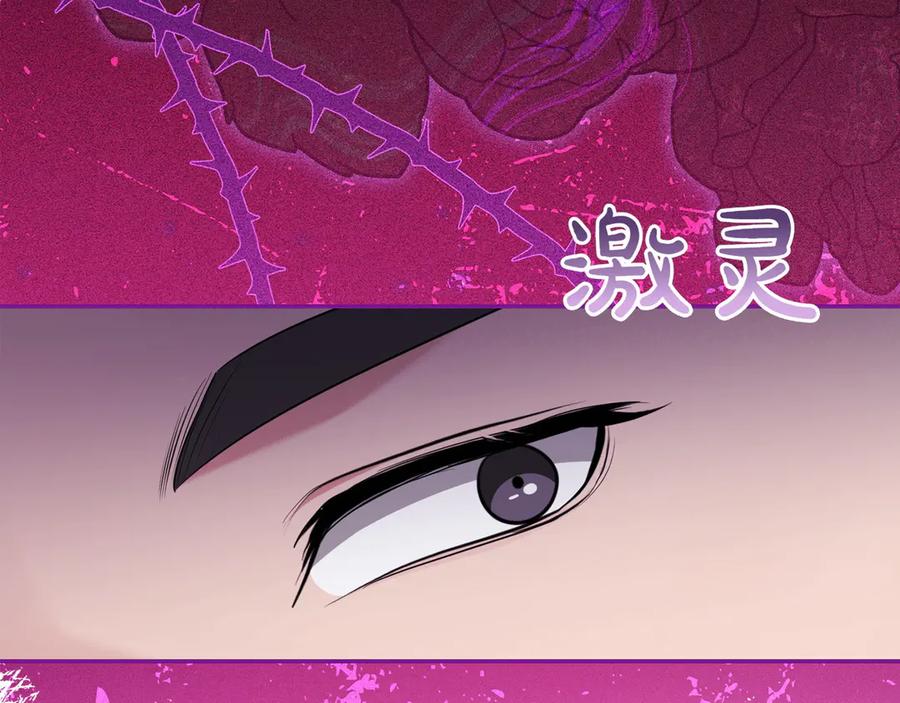 第251页