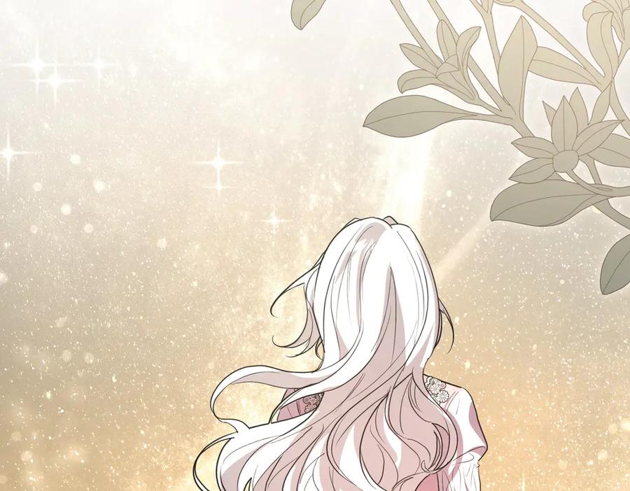 第224页