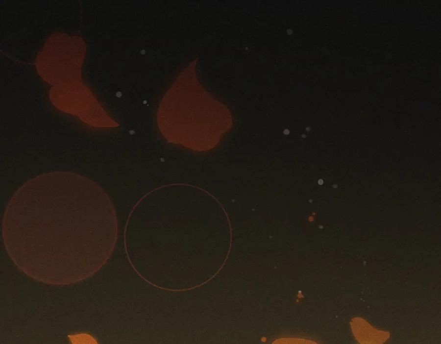 第219页