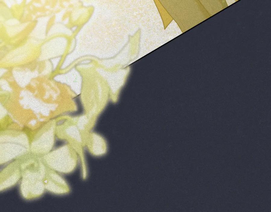 第224页