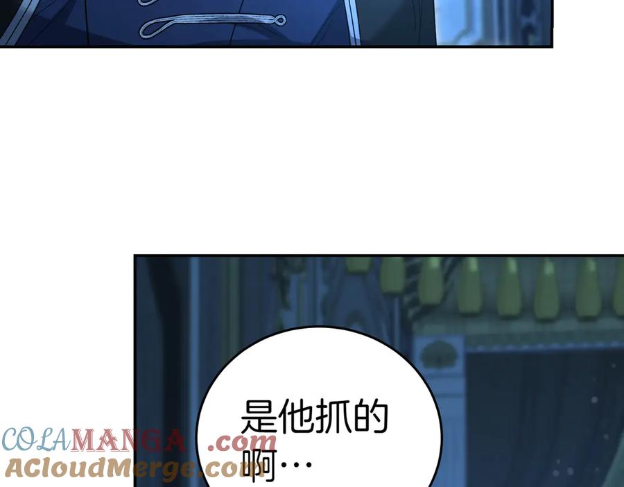 第213页
