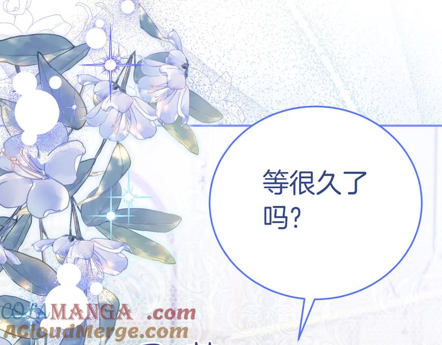 第205页
