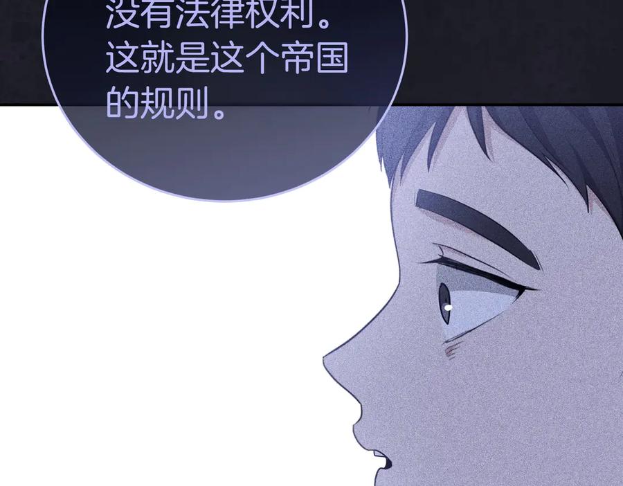 第223页