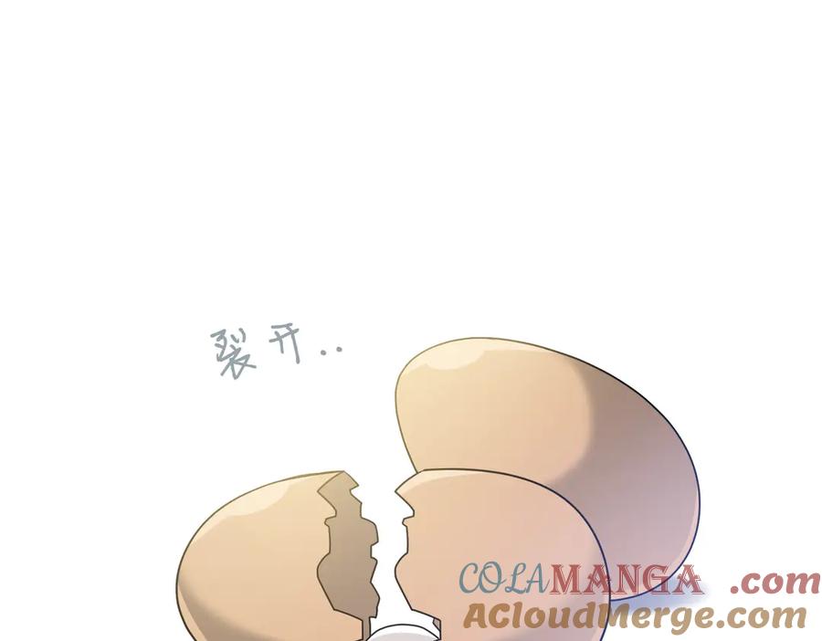 第209页