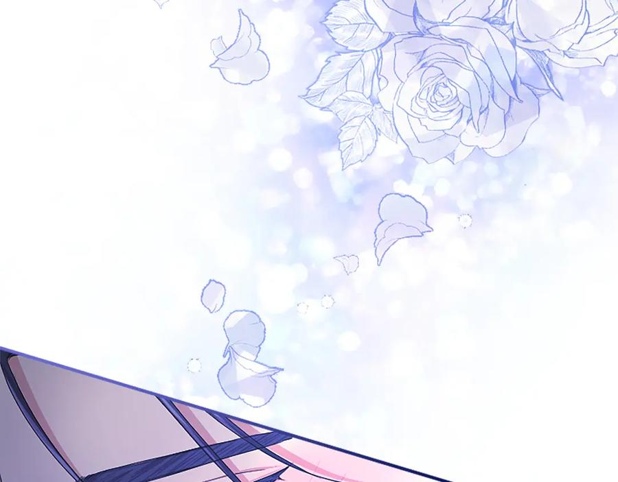 第247页