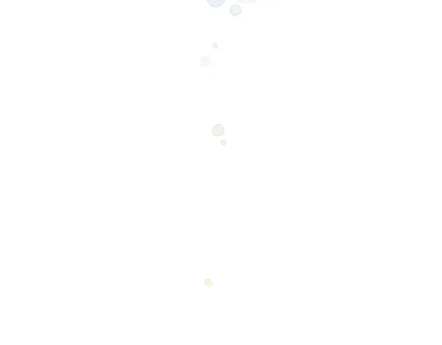 第219页