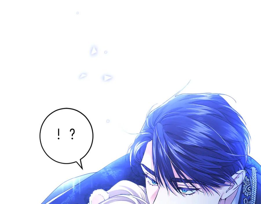 第255页
