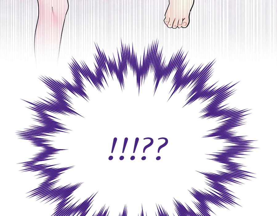 第255页