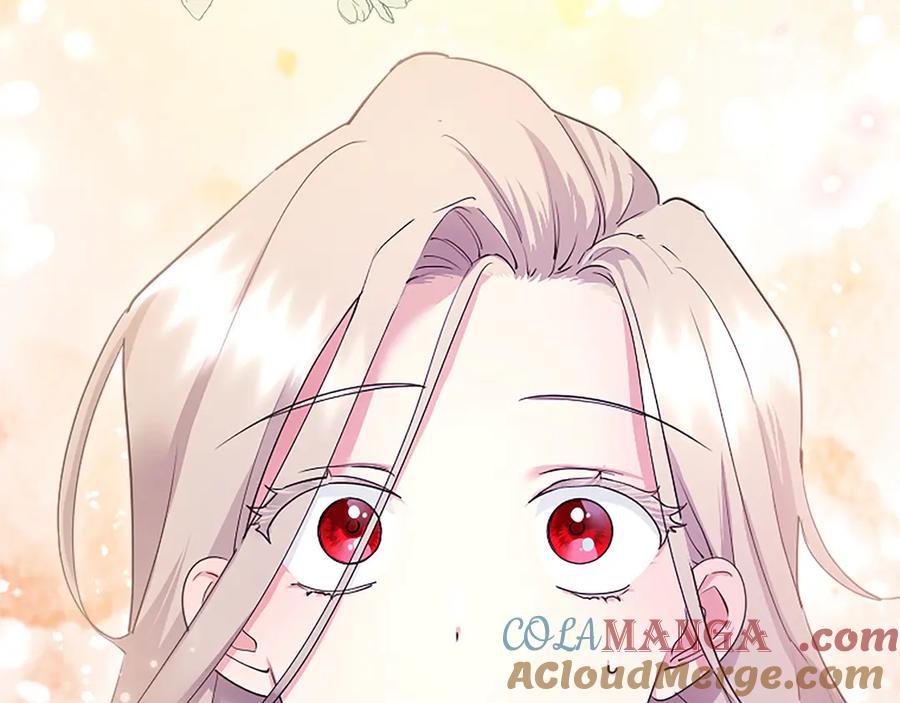 第221页