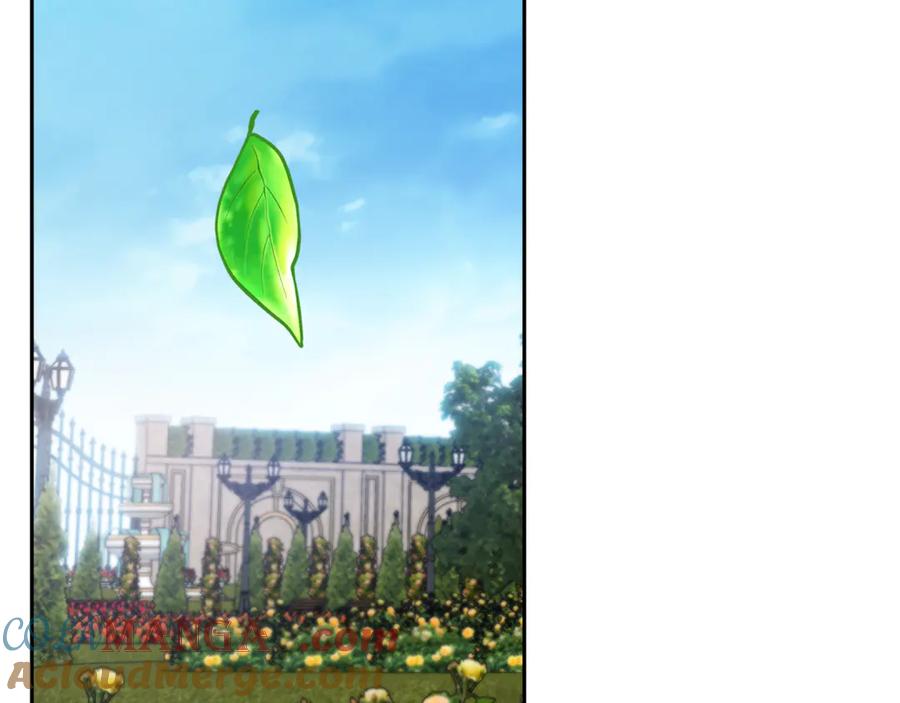 第185页