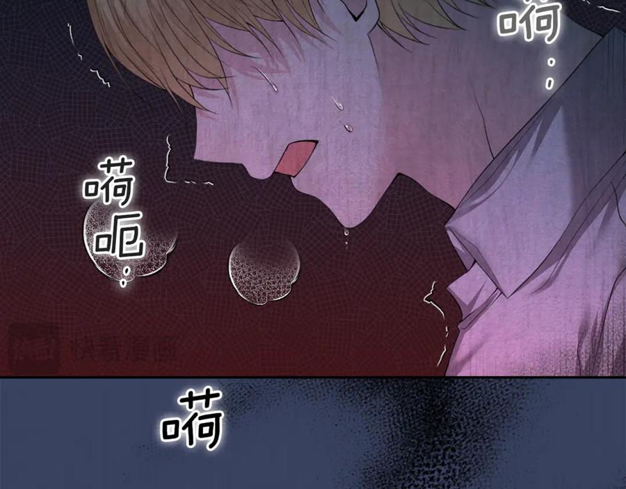 第206页