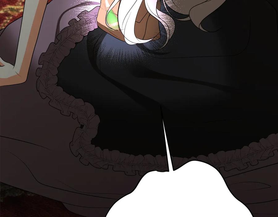 第223页