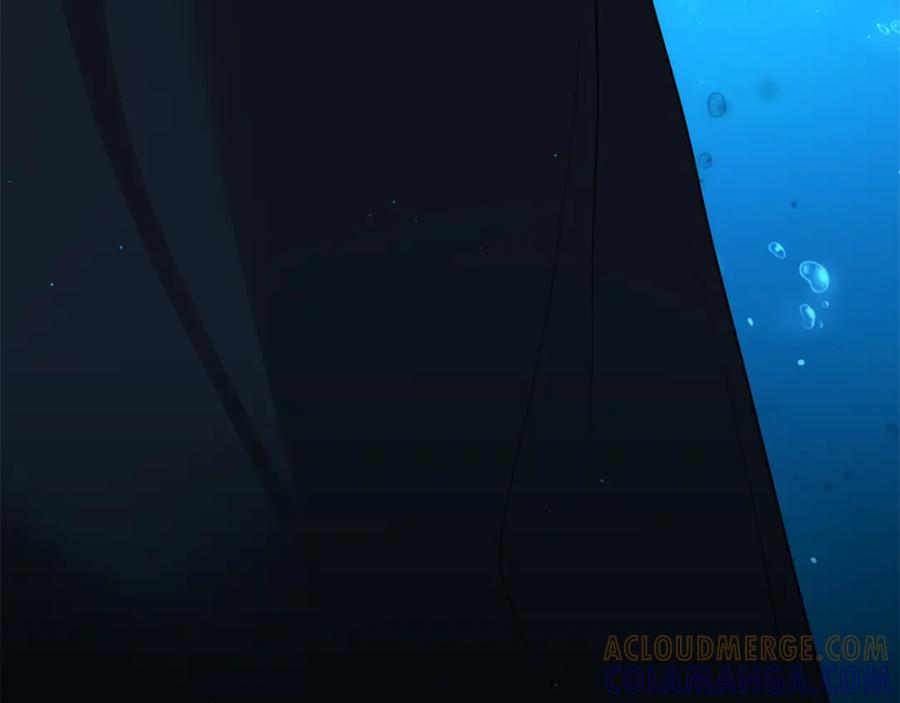 第229页