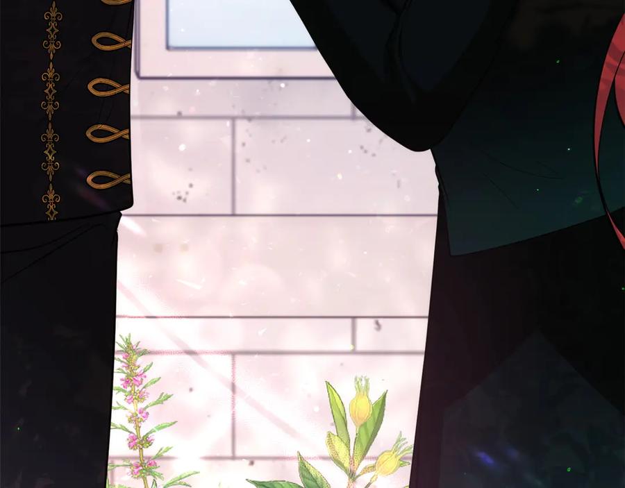 第215页