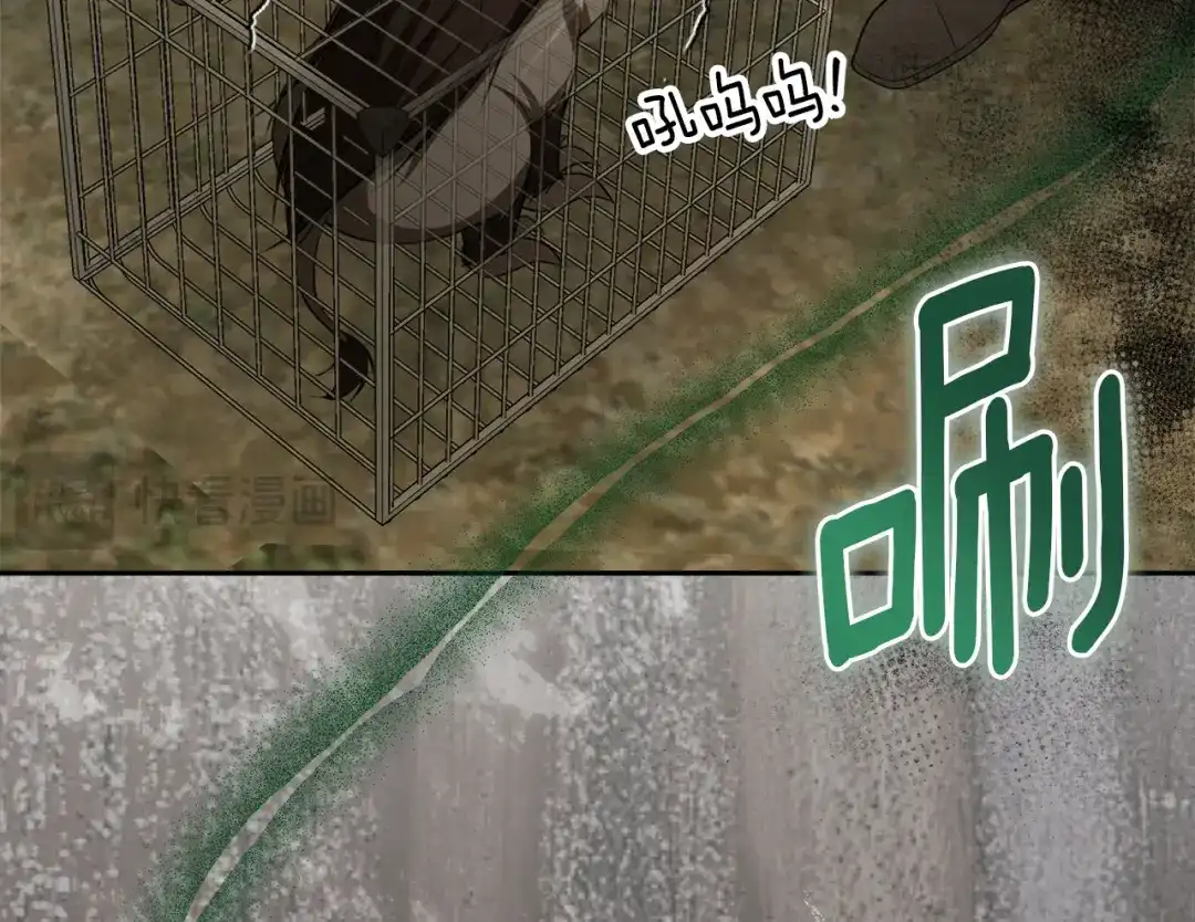 第166页